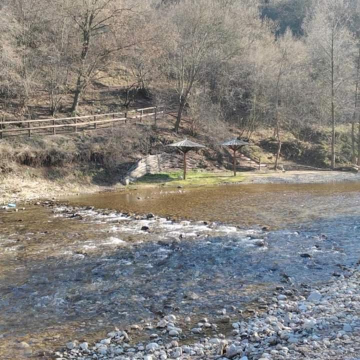 Sokobanja Apartmani Exterior photo
